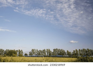 White clouds float across the sky.
