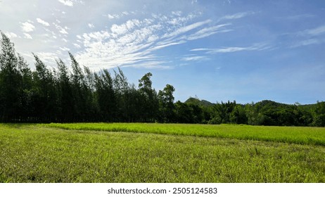 White clouds float in the bright blue sky over the mountains and grasslands. 
