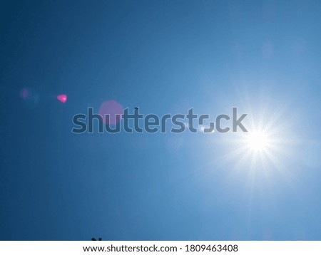Similar – Image, Stock Photo flock of suns Nature Air