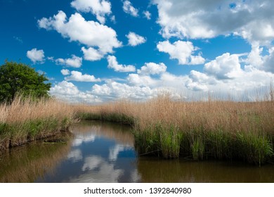 White clouds reflecting in the river 