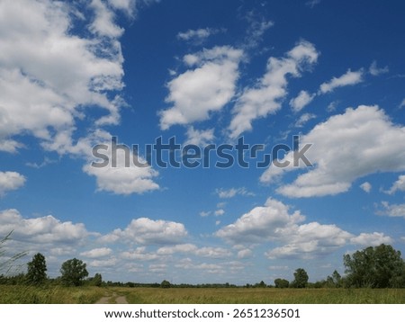 white clouds in the sky