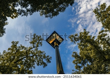Similar – Image, Stock Photo Tree crown with fine branches against gray sky