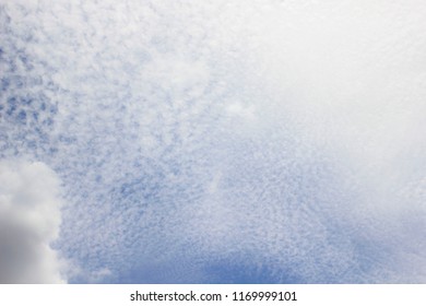white cloudy in the sky.