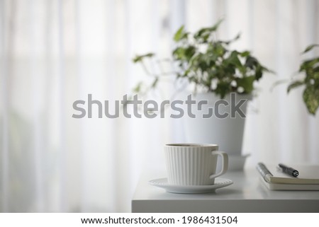 white coffee cup and plant pot on white table minimal interior