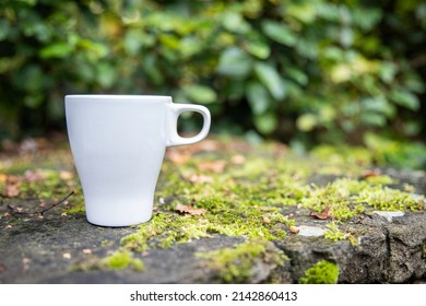 White Coffee Mug On The Mossy Rock Wall In The Morning