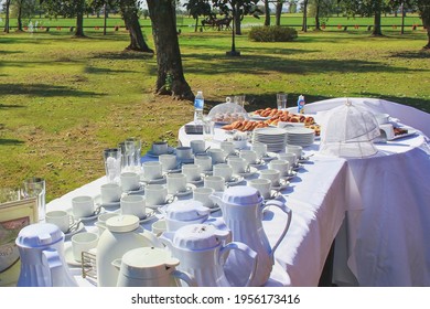 White Coffee And Tea Mugs In Rows On Served Catering Table For Outside Tea Party. Group Of Empty Ceramic Cups For Coffee Or Tea In Garden Buffet At Business Meeting Event On Blurred Park Background.