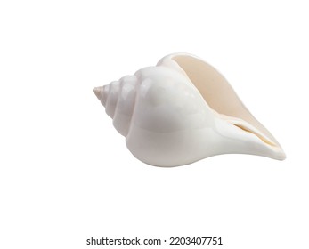 White conch shell with oranges isolated on white background with clipping path. - Shutterstock ID 2203407751