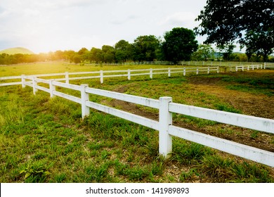 White Concrete Fence In Horse Farm Field