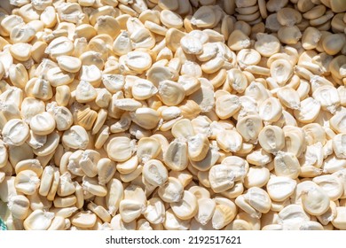 White corn grains from the Sacred Valley of the Incas, for the preparation of mote or Peruvian corn.