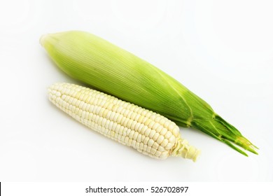 White Corn on white background