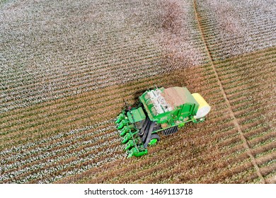 White Cotton Harverter Combine On A Farm Field Ripping Cotton Boxes From Blossoming Bushes In Australian Outback With Rich Red Soil Seen From Above.