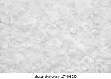 White Cotton Wool Texture, Top View