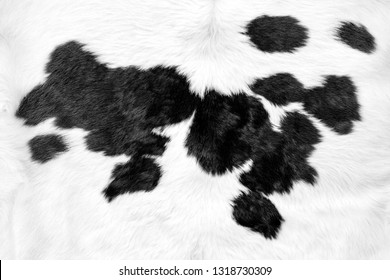 White Cow Skin With Black Patches Background