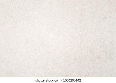 White Cowhide for background or texture, white fur