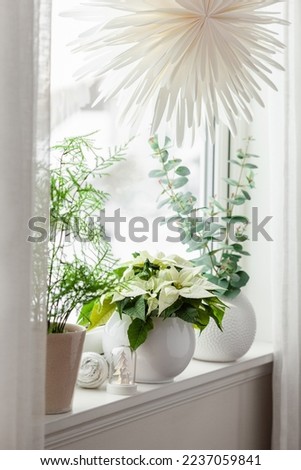 Similar – Acacia bouquet on the table in living room