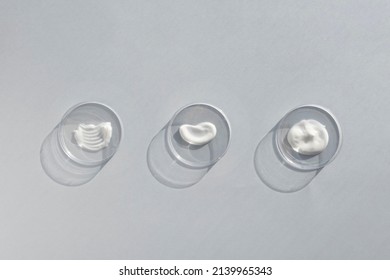 White cream textures in Petri dishes on a gray background. Concept of cosmetics laboratory researches. Smear of skincare cosmetics product. Wellness and beauty concept. 