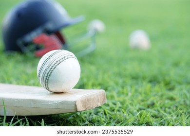 White cricket ball on wooden racket. Concept, sport equipment. Competitive sport. A cricket ball is made with a core of cork, covered by a leather case with a slightly raised sewn seam                 - Powered by Shutterstock