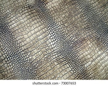 white crocodile skin pattern, abstract danger texture closeup.