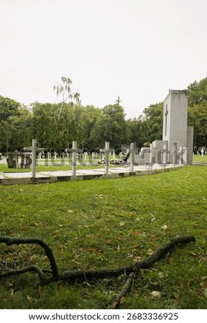 White crosses in background with fallen tree branch on green grass, symbolizing faith, spirituality, nature, remembrance, and the cycle of life and death.