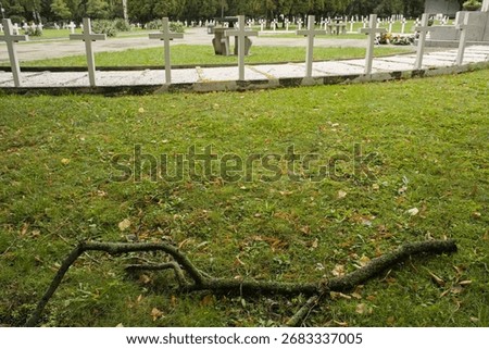 White crosses in background with fallen tree branch on green grass, symbolizing faith, spirituality, nature, remembrance, and the cycle of life and death.