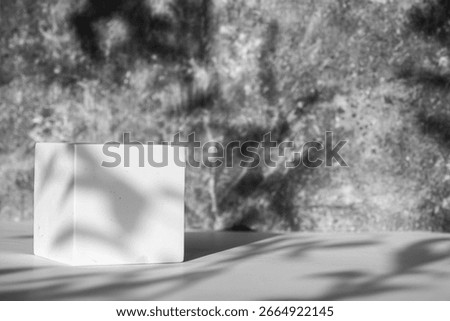 White cube placed on a surface with blurred natural leaf shadows in the background, artistic monochrome composition. 