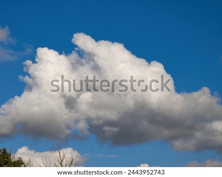 White cumulus clouds background, fluffy summer clouds in the sky