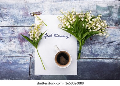 1000 Morning Lily Stock Images Photos Vectors Shutterstock