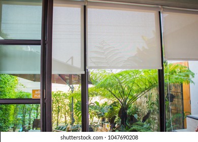1000 Blinds Clean Stock Images Photos Vectors Shutterstock