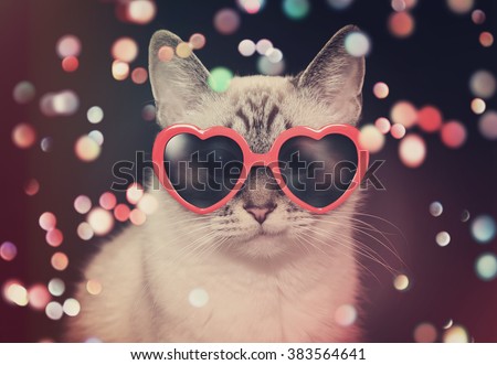 A white cute cat with red heart sunglasses is on a black background with colorful sparkles around the pet for a party or celebration concept.