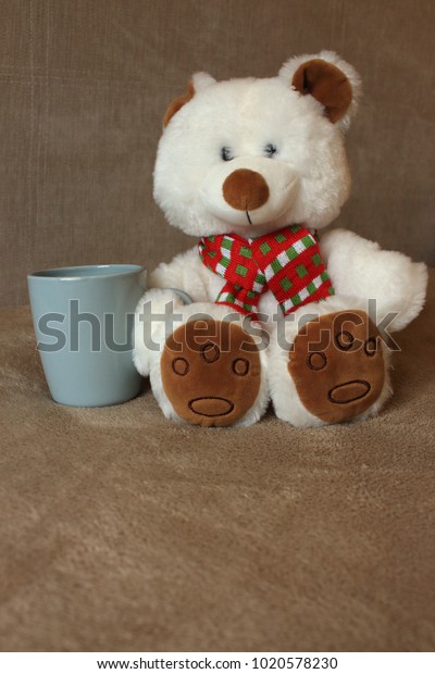 White Cute Teddy Bear Cup Sitting Stock Photo Edit Now 1020578230