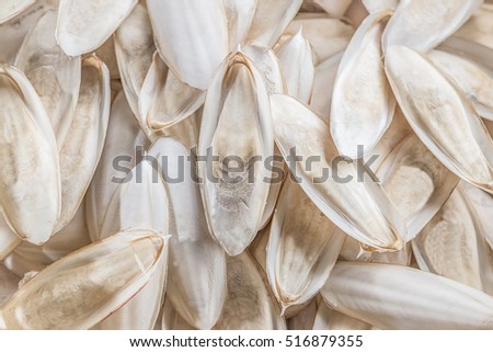  white cuttlefish bone natural calcium.