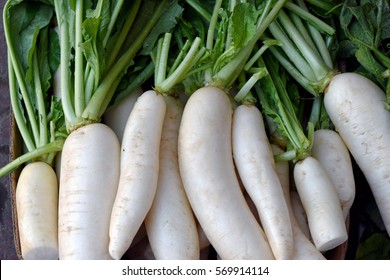 White Daikon radishes sold in the market - Shutterstock ID 569914114