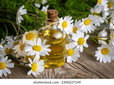White daisy oil on the wooden background