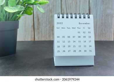 White December 2022 calendar with potted plant. 2022 New Year Concept
