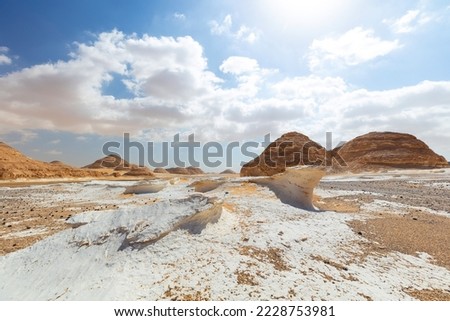 White desert bahariya egypt. White limestone rock formations and sand desert landscape. One off road car driving away on a trail. Scenic extreme nature background. Special travel destination.