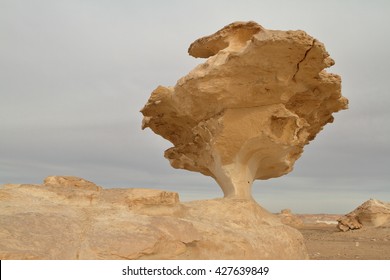 Risultati immagini per deserto bianco egitto foto