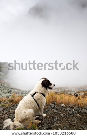 Similar – Foto Bild Unterwegs im Hochgebirge