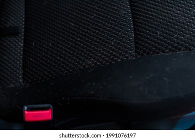 White dog hair on a black back seat of a car.