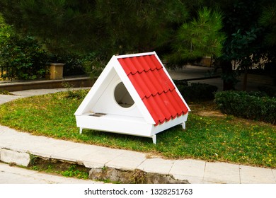 White Dog Kennel , Doghouse Stands In The Yard.