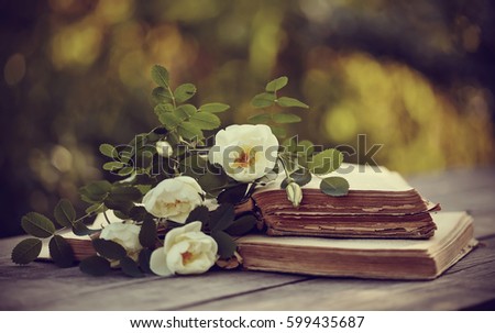 White dogrose lies on the old books on a wooden table