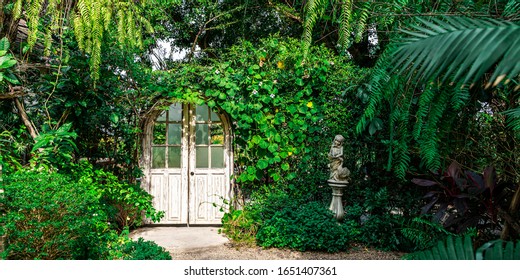 Weiße Tür mit grünem Baum und Pflanzen an sonnigen Tagen im Garten. Natürlicher und fantasievoller Hintergrund.
