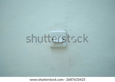 A white double light switch centered on a pale green, textured wall with surrounding copy space. Electric control in a room.