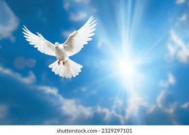 white dove flying on blue sky for freedom concept in clipping path,international day of peace ,Pray for Ukraine and No war concept - Powered by Shutterstock