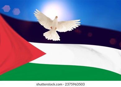 White Dove flying on Palestine flag and blue sky to independence , freedom ,Pray for Palestine and No war concept