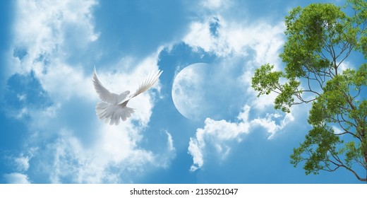 White Dove Flying Towards Full Moon. 3d Sky Image For Stretch Ceiling Decoration. Twilight Cloudy Blue Sky And Full Moon Light.