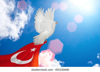 White Dove holding Turkey flag Flying on blue sky to independence and freedom concept