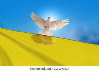 White Dove holding Ukraine flag Flying on blue sky to independence , freedom ,Pray for Ukraine and No war concept