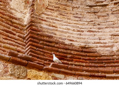 White Dove On The Altar Of The Church Of Saint Sofia In Ancient City Of Nessebar, Bulgaria