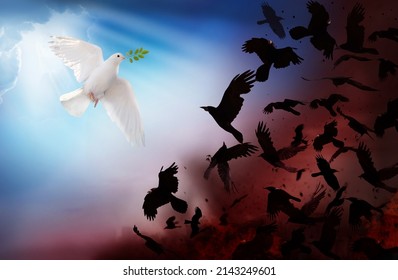 A white dove symbol of peace holding green leaf branch, flying in the sky. Ravens attacks  pigeon. Not war concept background.
