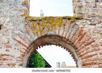 White Dove In The Window Of The Church Of Saint Sofia In Ancient City Of Nessebar, Bulgaria